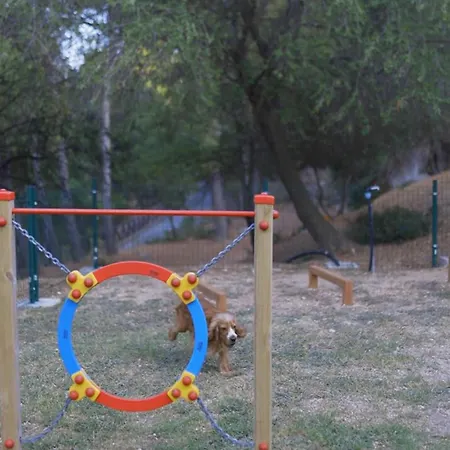 Отель Pugnochiuso Del Faro Вьесте