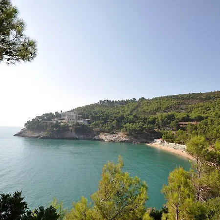 Pugnochiuso Del Faro