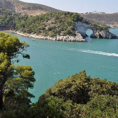 Pugnochiuso Del Faro